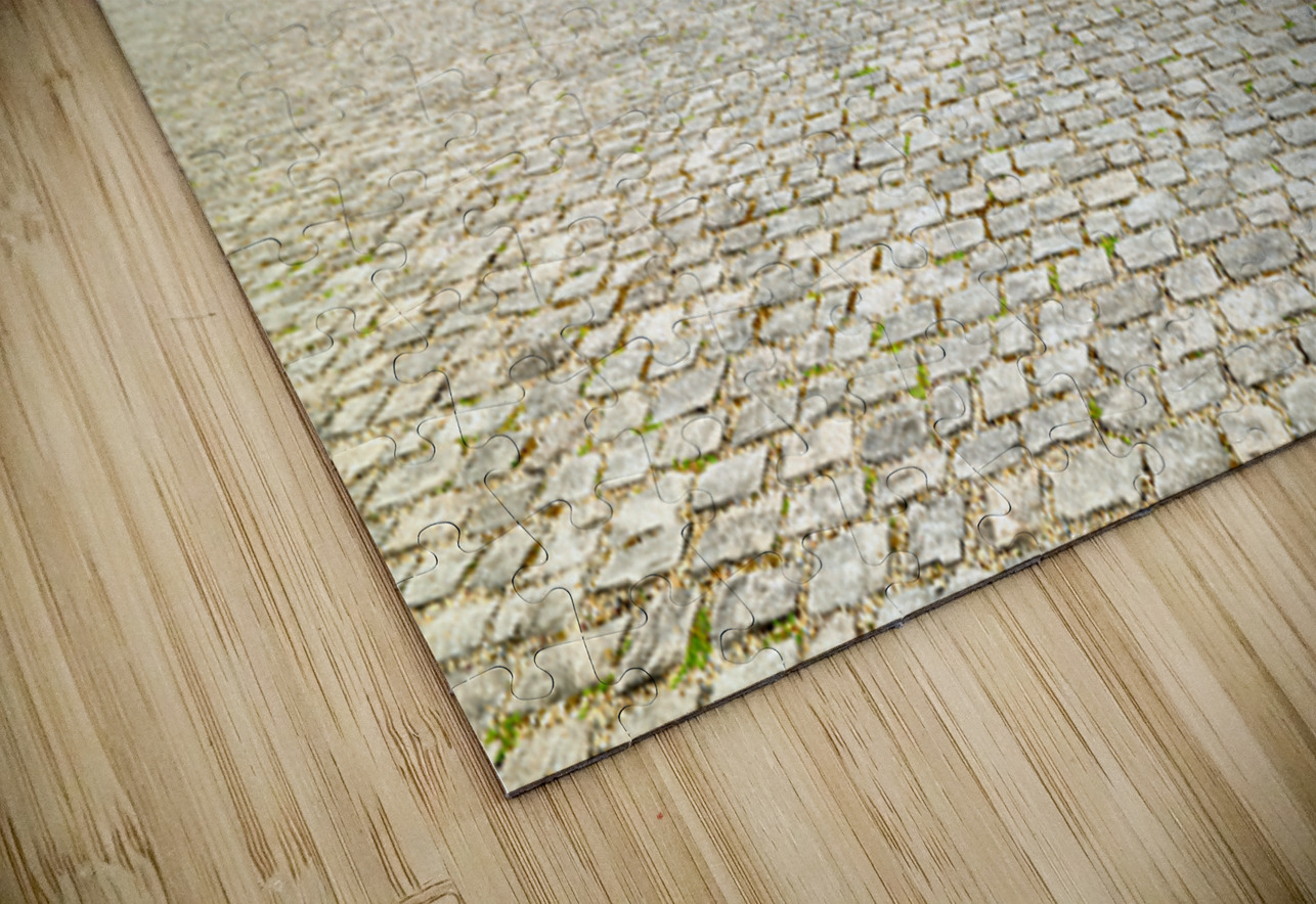 Residenz in Wurzburg along the Romantic Road in Bavaria Germany Marco Brivio Puzzle