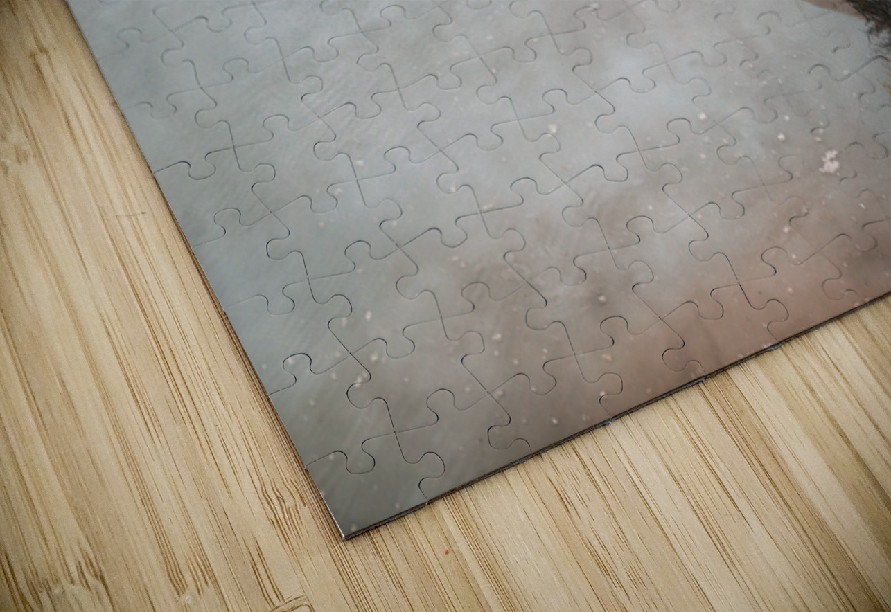 Explore geothermal trails at Whakarewarewa Maori Village in Roto Marco Brivio Puzzle