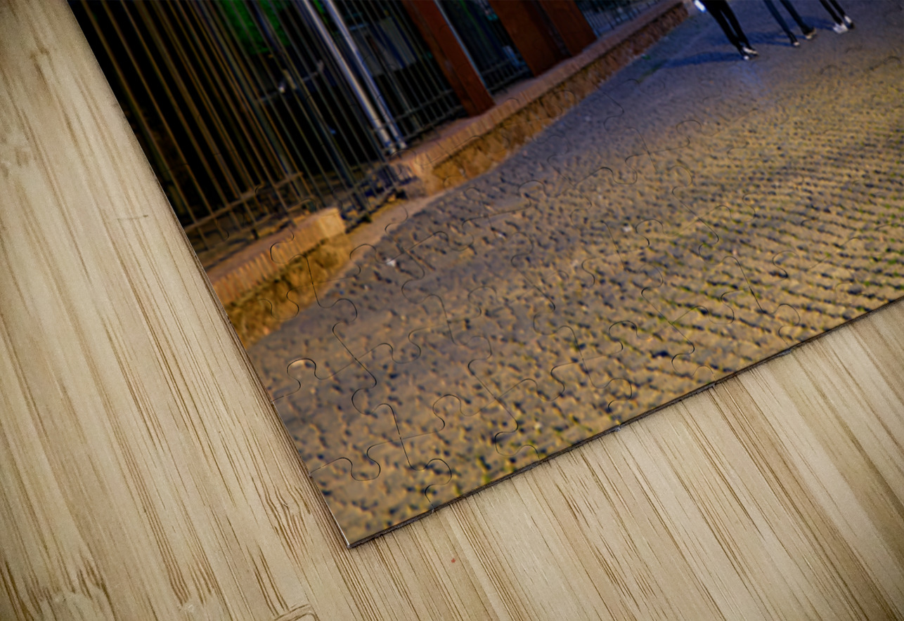 Walk along Via Sacra with views of Colosseum in Rome Italy Marco Brivio Puzzle