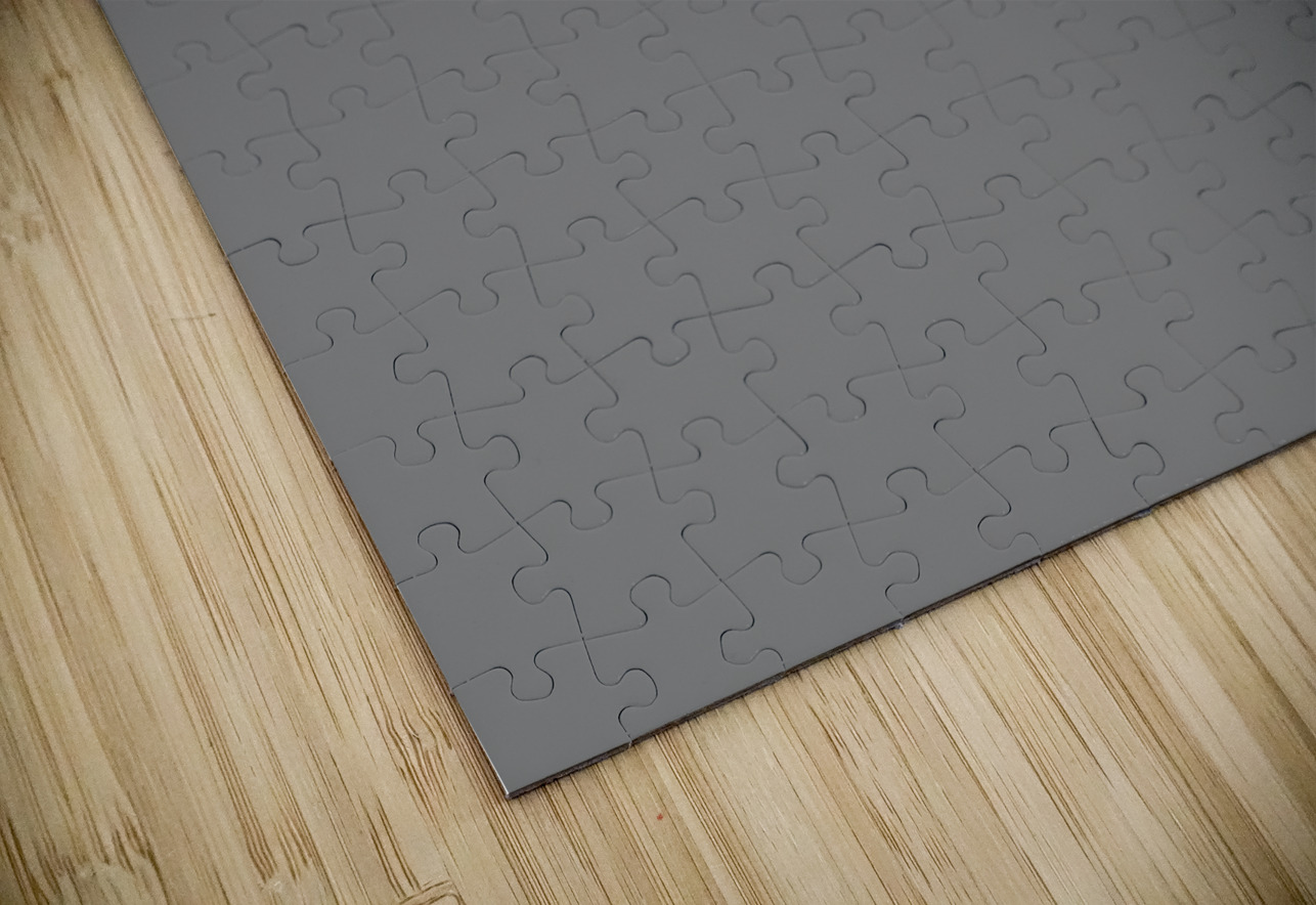 View of the west bank separation wall in Bethlehem with graffiti Marco Brivio Puzzle