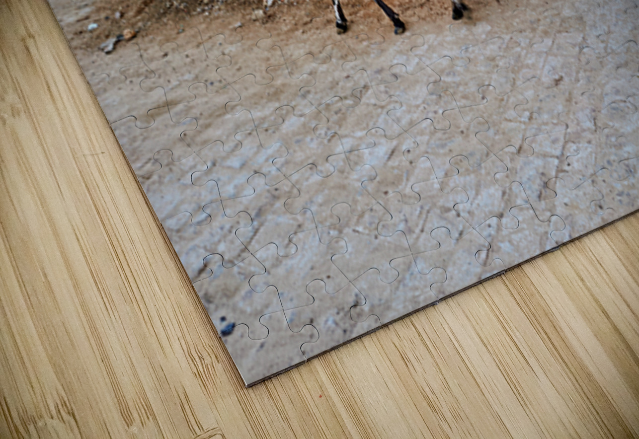 Man walking with cow in Mandawa streets Rajasthan India Marco Brivio Puzzle