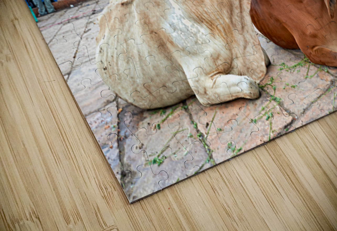 Cows resting at Sardar Market in Jodhpur Rajasthan during the d Marco Brivio Puzzle