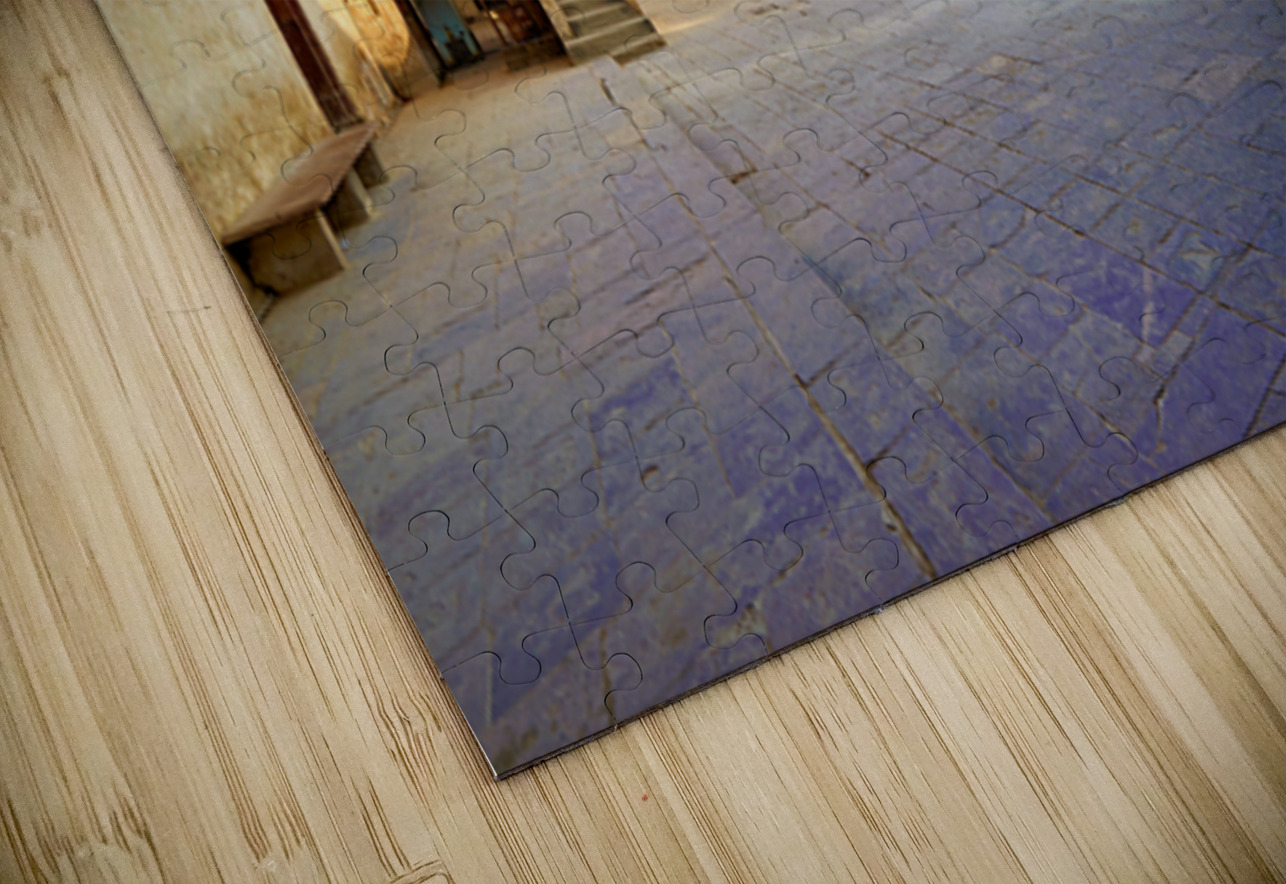 Exploring the fort complex in orchha madhya pradesh india Marco Brivio Puzzle