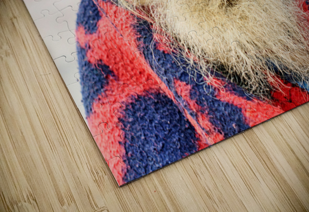 Old holy man in Varanasi wearing bright colors in Uttar Pradesh Marco Brivio Puzzle