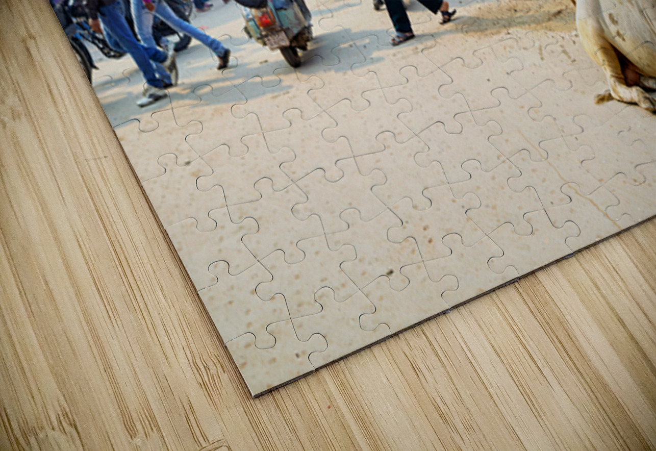 Cows roam the streets of Varanasi Benares Uttar Pradesh Marco Brivio Puzzle