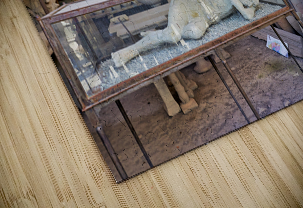 Pompeii site showing artifacts and a plaster cast of a victim Marco Brivio Puzzle