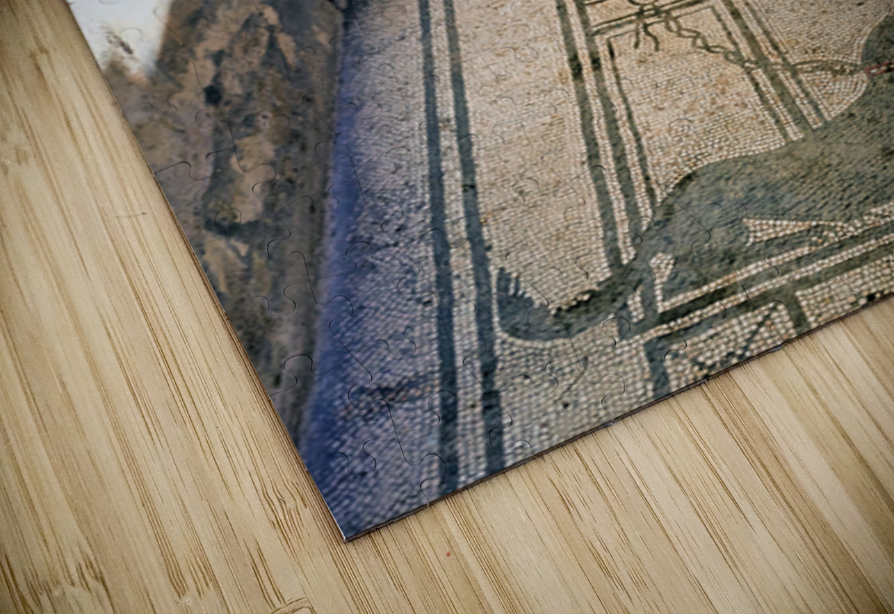 Mosaic floor in Pompeii reveals Roman art and ancient history Marco Brivio Puzzle