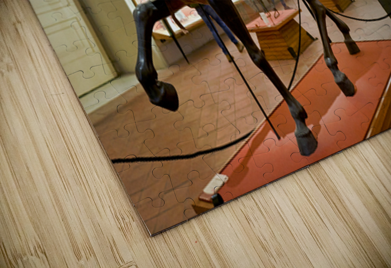 Visit to Museo di Capodimonte in Naples Campania Italy Marco Brivio Puzzle