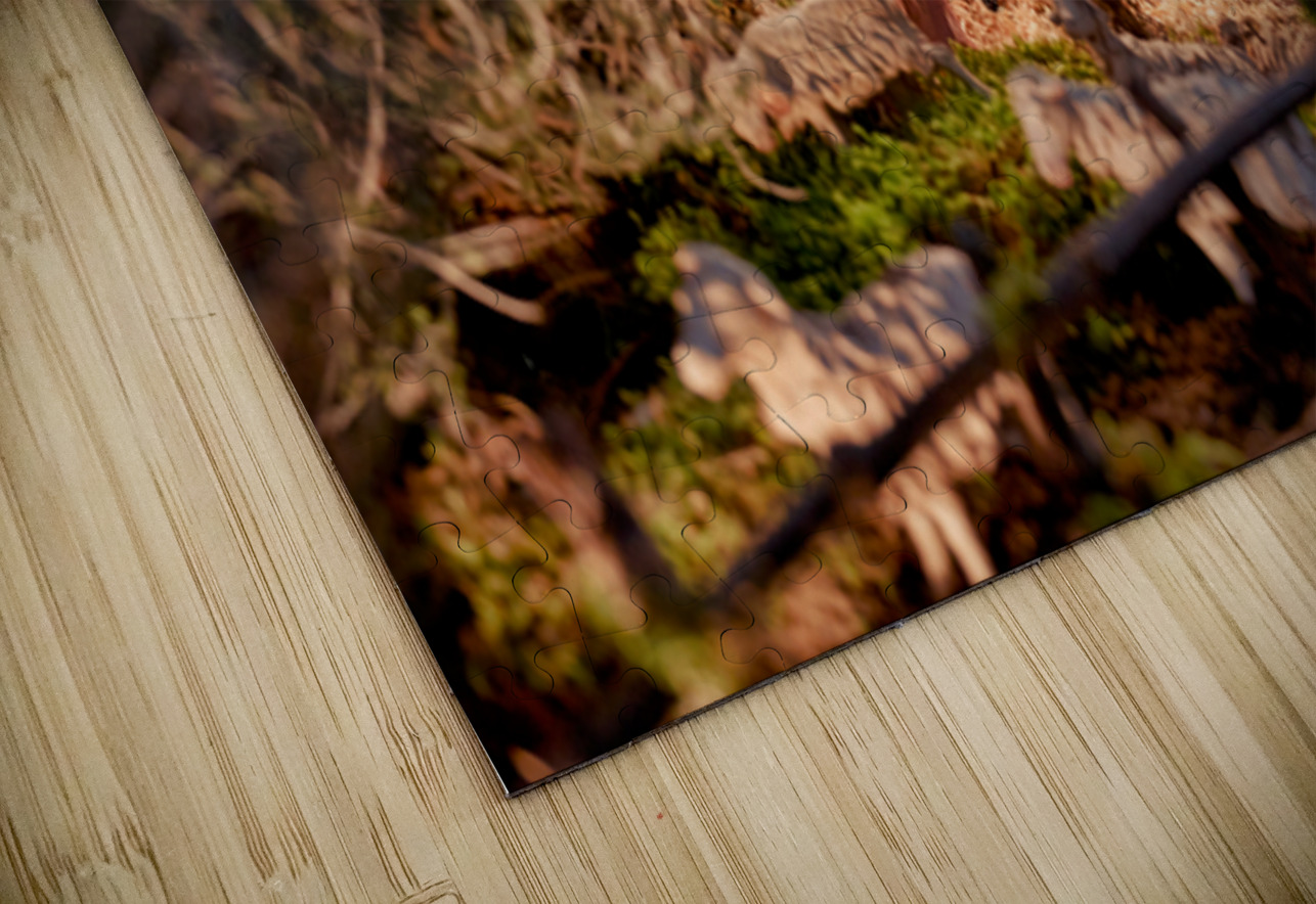 Christmas nativity scene in Caltagirone Sicily Italy Marco Brivio Puzzle