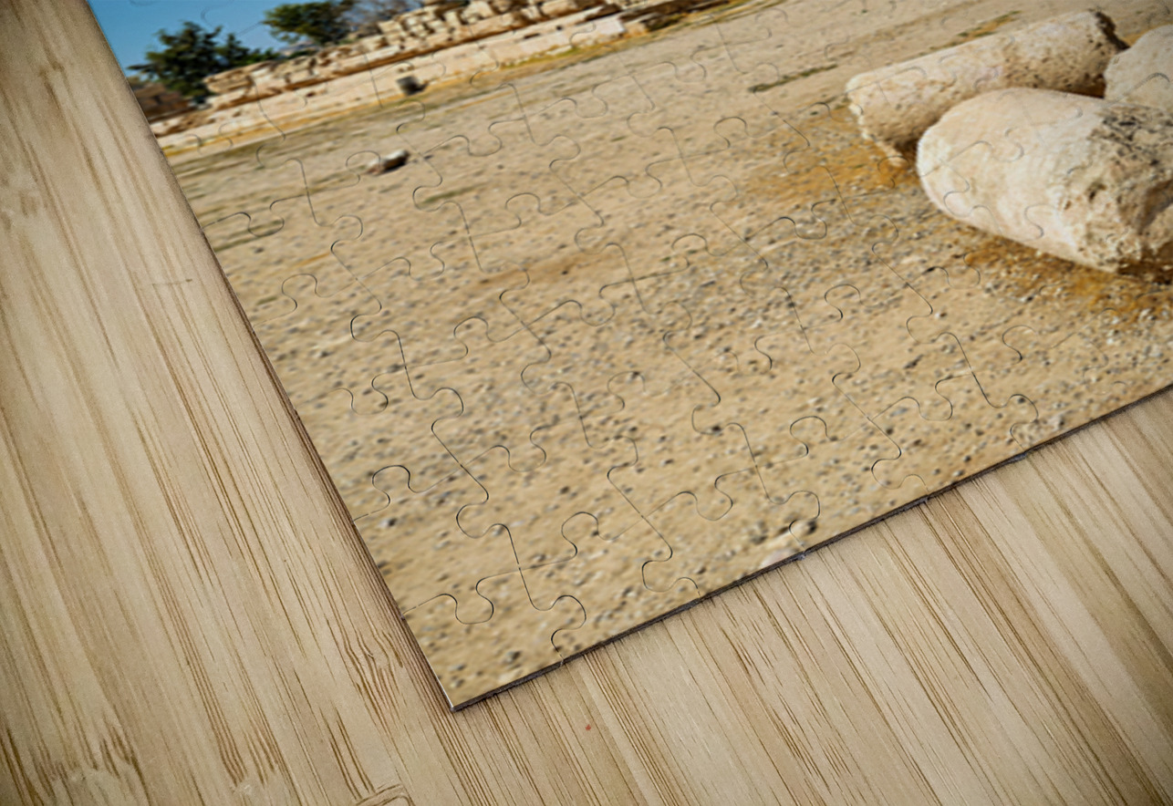 Ruins of the Citadel in Amman with pillars and cloudy sky Marco Brivio Puzzle