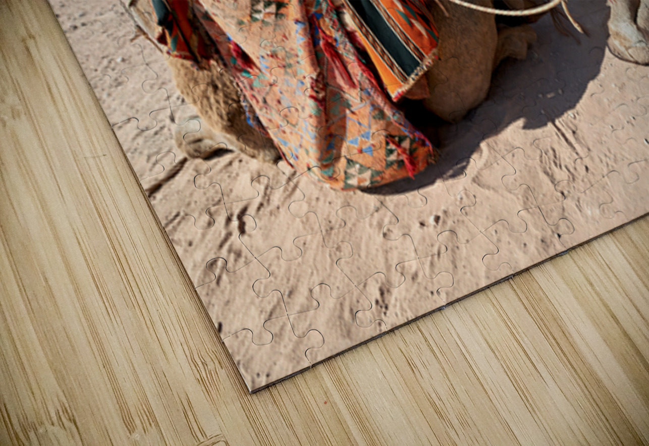 Tourists ride camels at Petra archaeological site in Jordan Marco Brivio Puzzle