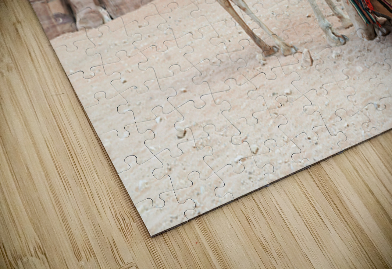 Camels wait for tourists at Petra archaeological site in Jordan Marco Brivio Puzzle