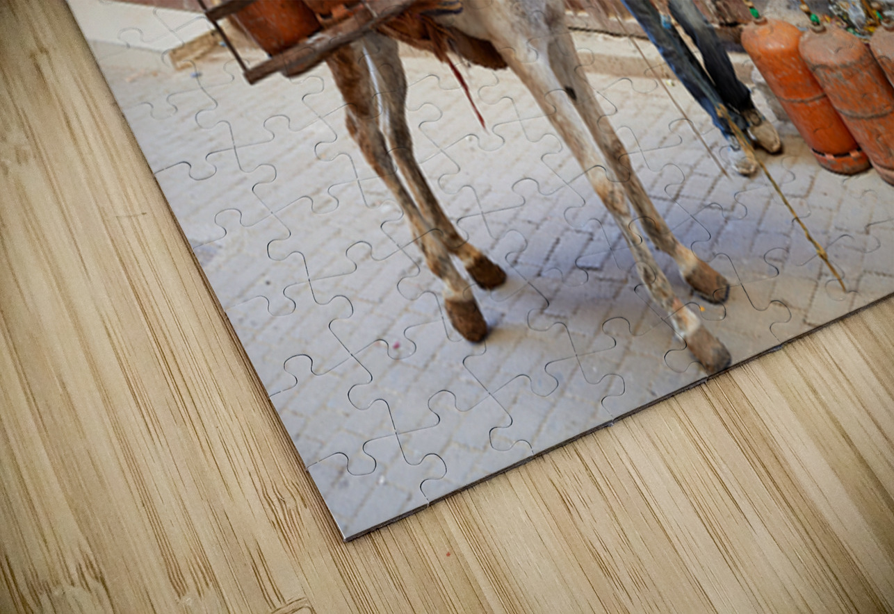 Donkey carrying gas cylinders through Fez Medina streets Marco Brivio Puzzle