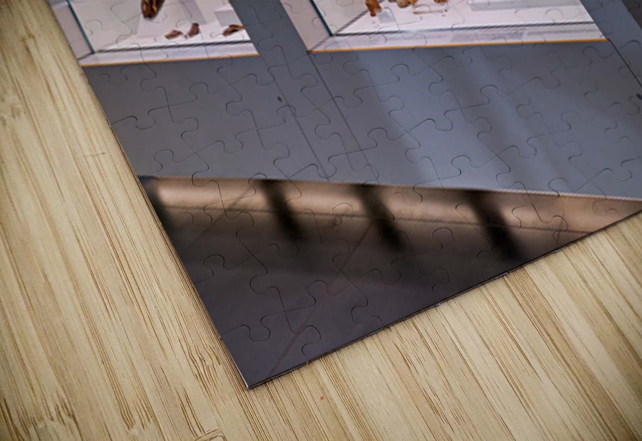 Exploring ancient artifacts at the National Museum of Magna Grec Marco Brivio Puzzle