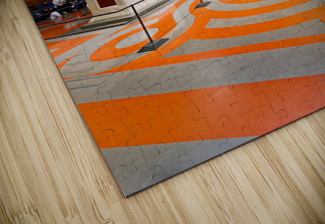 View inside Gallery of the Academy with Michelangelo David in Fl Marco Brivio Puzzle