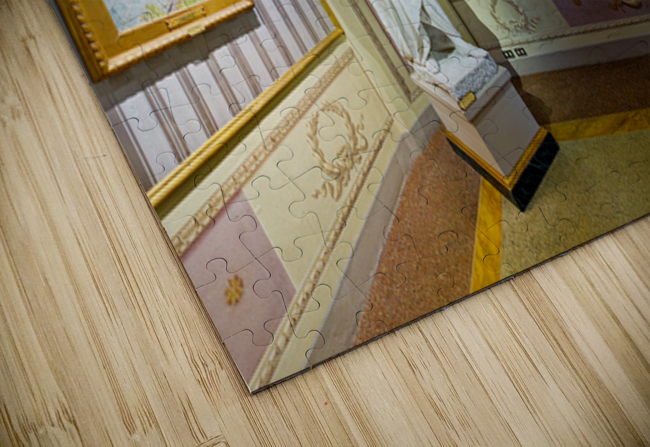Explore art at the Palatine Gallery in Palazzo Pitti Marco Brivio Puzzle
