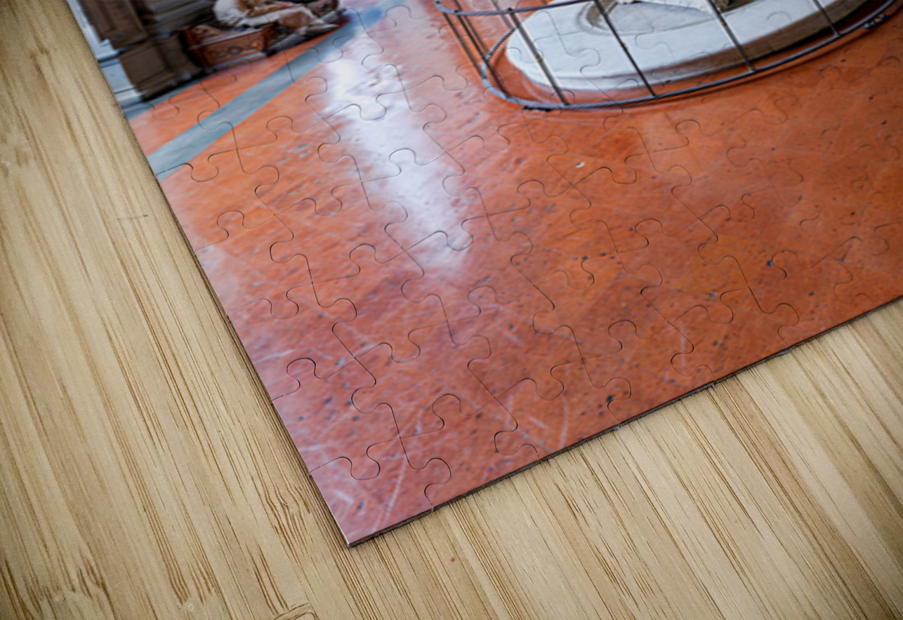 Visit to palazzo pitti palatine gallery in florence tuscany ital Marco Brivio Puzzle