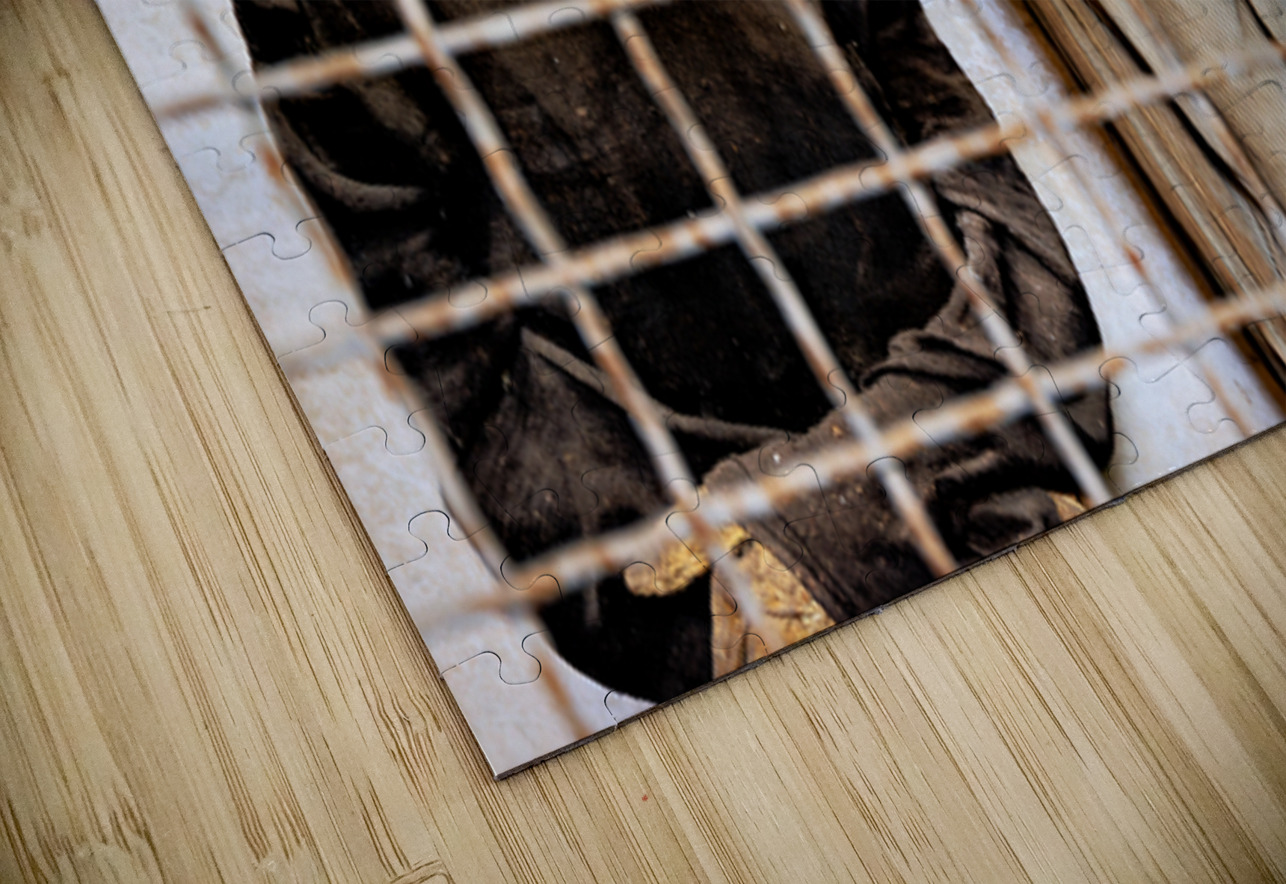 Visitors see mummies in Capuchin Catacombs in Palermo Sicily Marco Brivio Puzzle