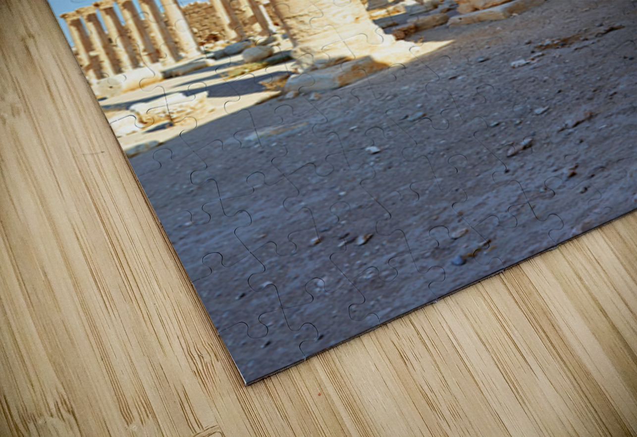 Exploring the ruins of the Temple of Bel in Palmyra Syria Marco Brivio Puzzle