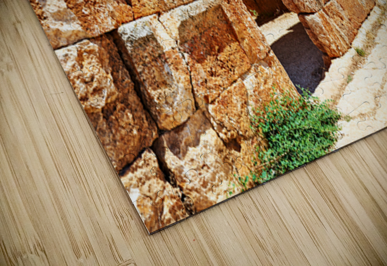 Exploring the ruins of Serjilla in northwestern Syria Marco Brivio Puzzle