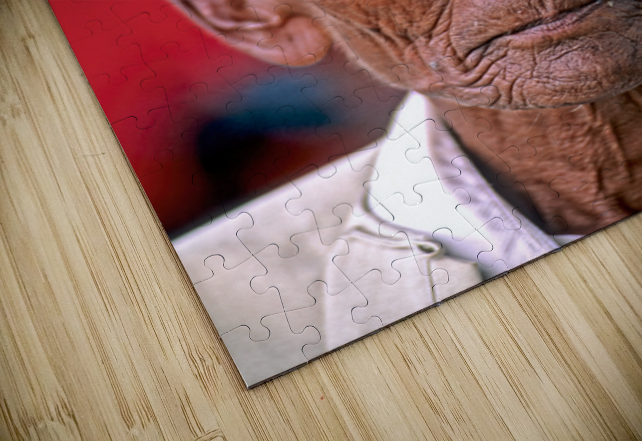 Portrait of an old man in Myanmar with a traditional head wrap Marco Brivio Puzzle