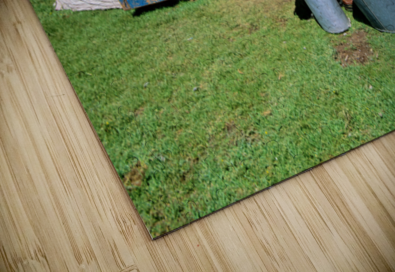 Mongolian ger in the countryside with people and daily activitie Marco Brivio Puzzle