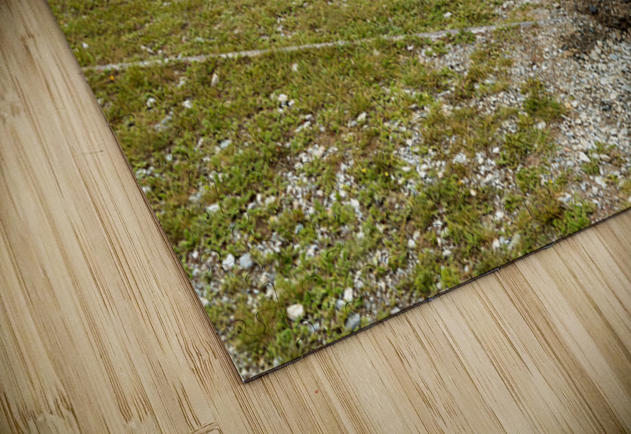 Old style soviet gas station in Mongolia near open fields Marco Brivio Puzzle