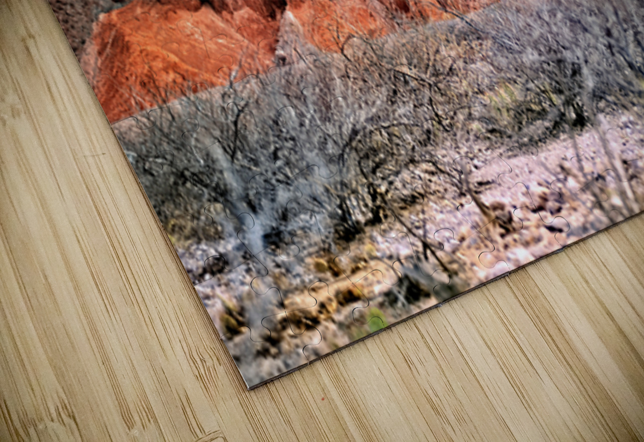 Colorful eroded rock formations in Quebrada de las Conchas Arge Marco Brivio Puzzle