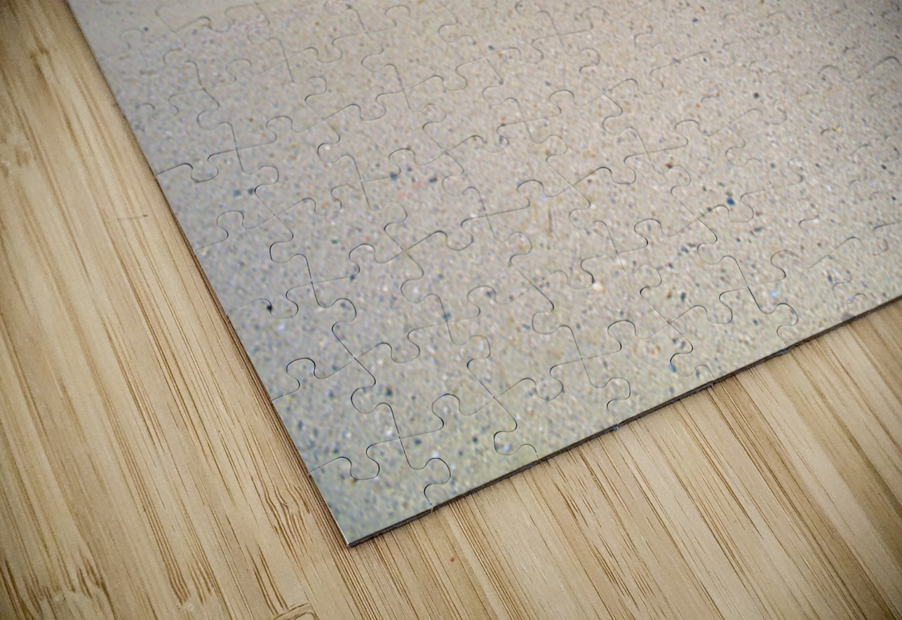 Old church ruins in a desolate sandy landscape. Marco Brivio Puzzle