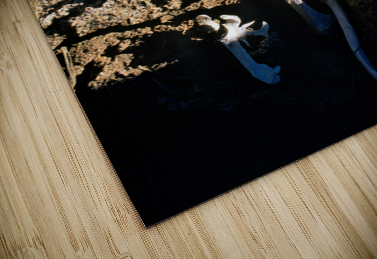 Human skeleton partially buried in rocky terrain. Marco Brivio Puzzle