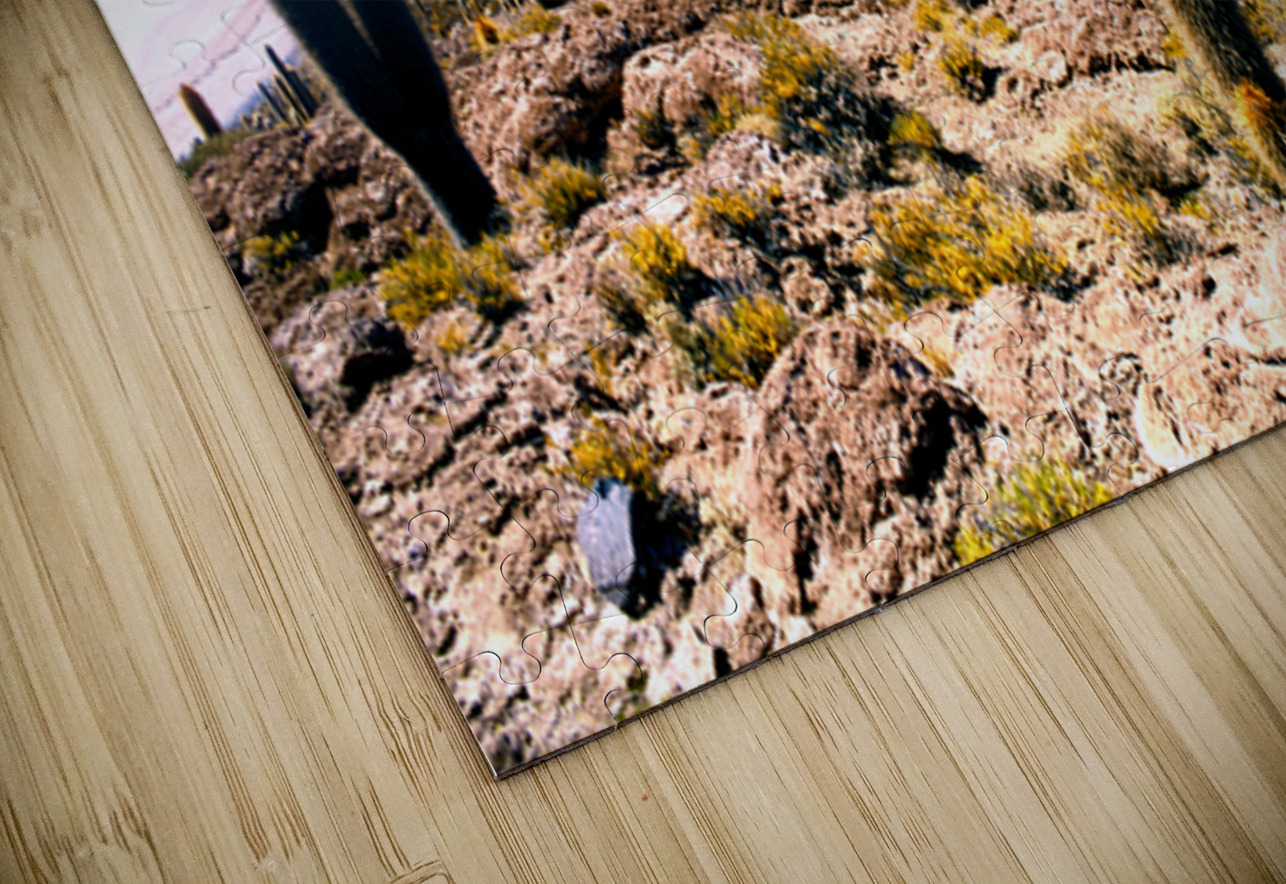 Cactus island in a vast white salt flat under blue sky. Marco Brivio Puzzle