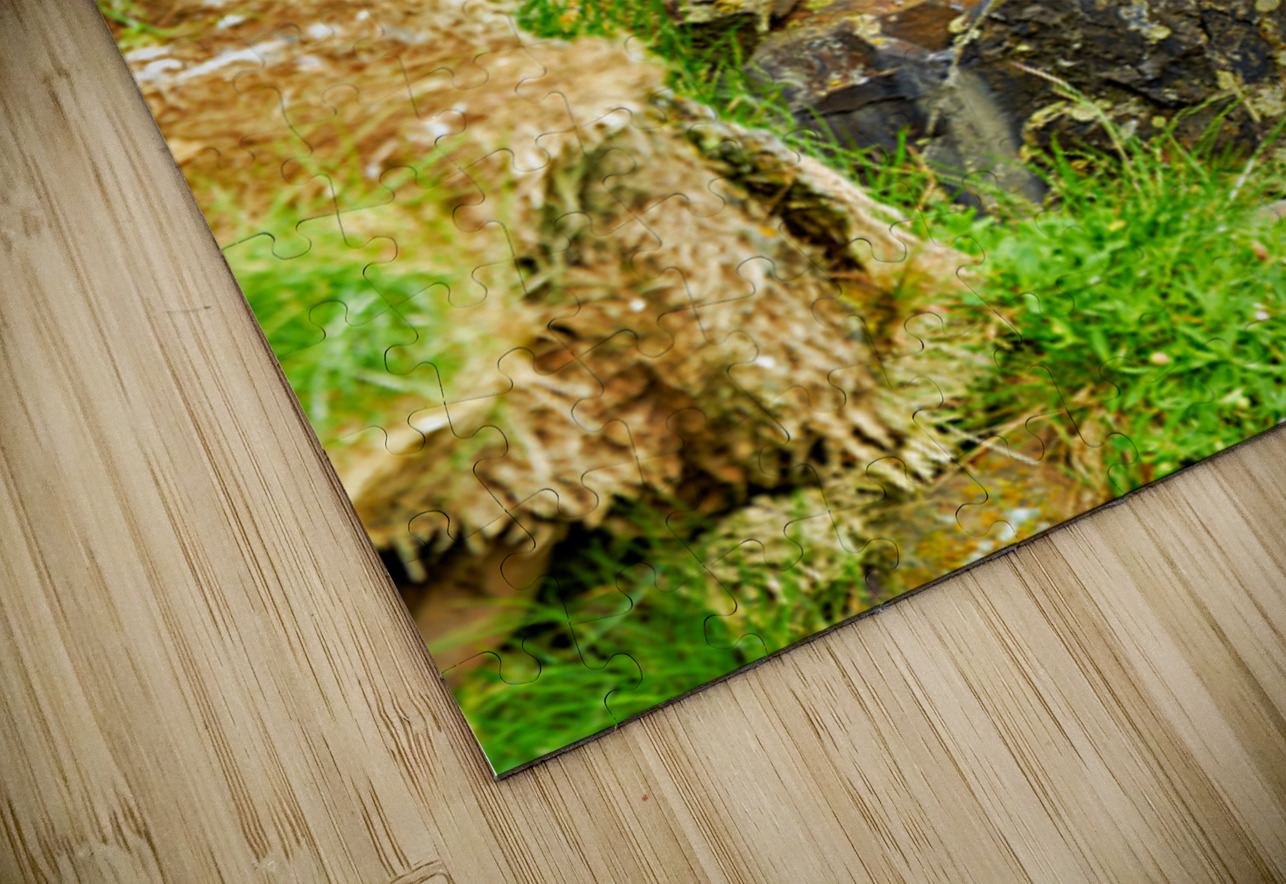 Puffin stands on rocks by the sea in Borgarfjordur Eystri Marco Brivio Puzzle
