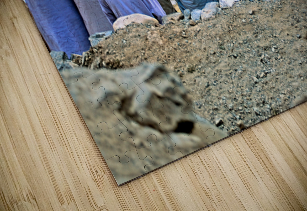 Muslim men pray outdoors in Pakistan facing Mecca Marco Brivio Puzzle