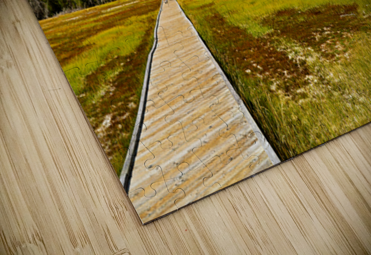 Visitors stroll the Upper Geyser Basin boardwalk Marco Brivio Puzzle
