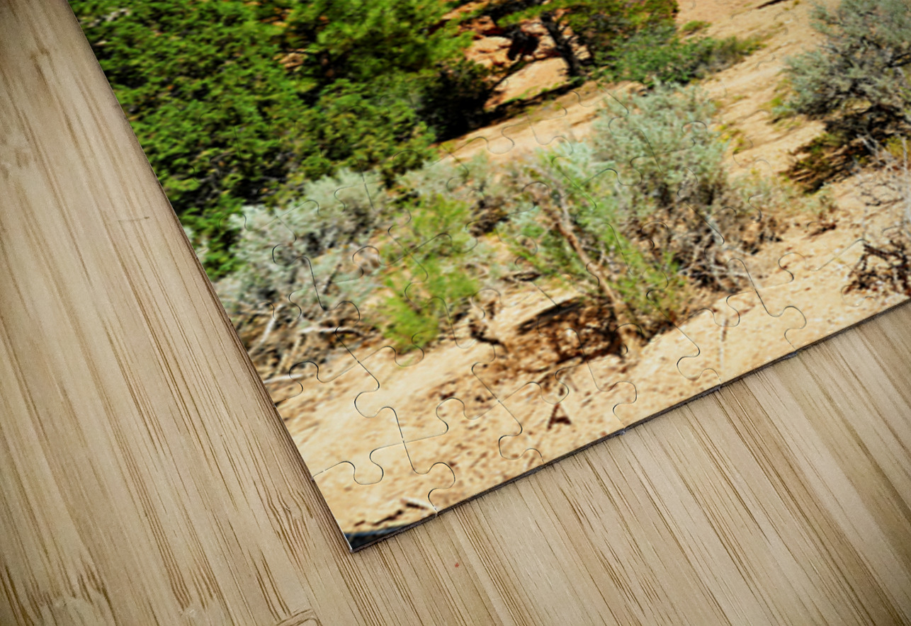 Visit to Dixie National Forest during a sunny afternoon Marco Brivio Puzzle