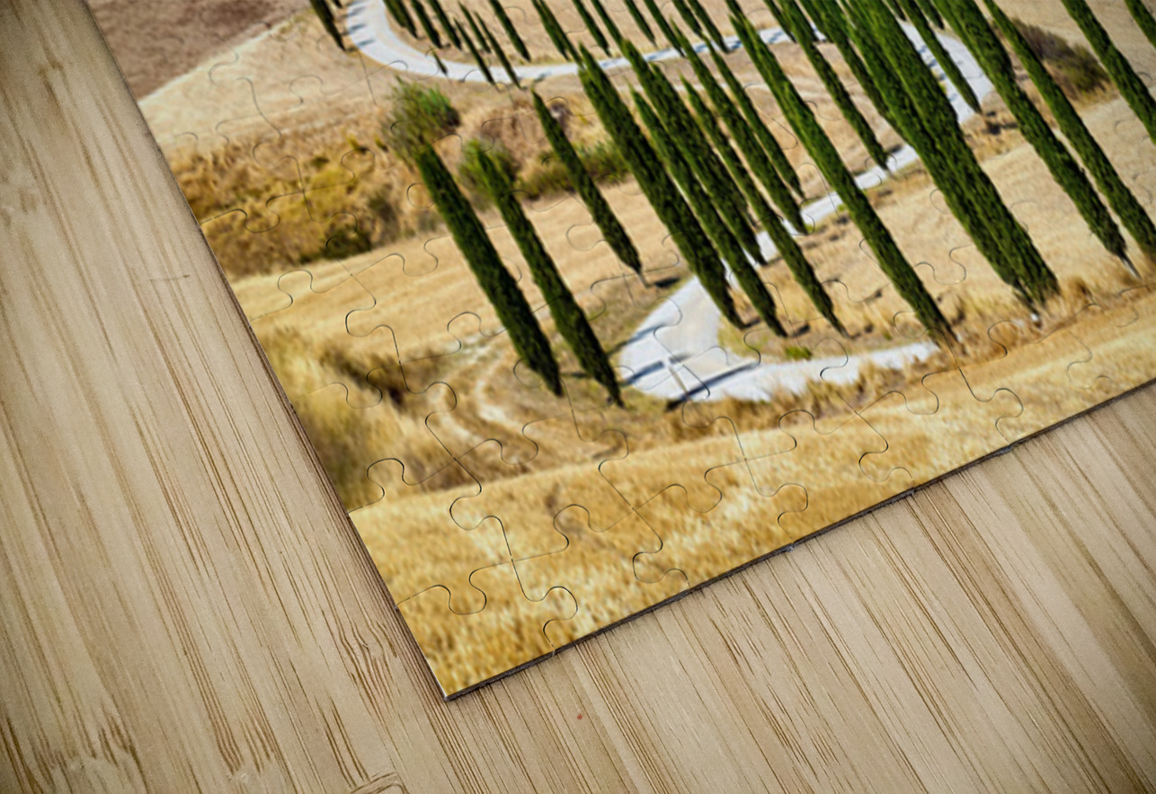 Cypress trees line winding road in Val dOrcia Tuscany Marco Brivio Puzzle