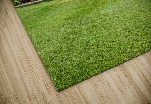 The White House. Washington D.C. Marco Brivio puzzle