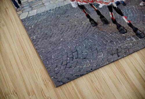 Apulia Puglia Italy. Ostuni. Festival of Saint Orontius. The cavalcata a procession of horses in the streets of the town Marco Brivio puzzle