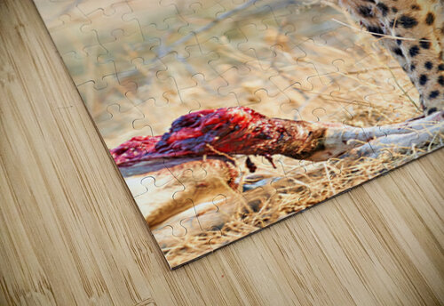 Cheetah eating after a hunt in Okonjima Reserve Namibia Marco Brivio puzzle