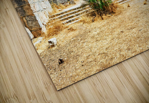 Visitors explore the ruins of Church of Saint Simeon Stylites in Marco Brivio puzzle