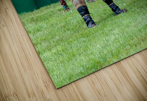 Wrestling games at Naadam festival in Ulaanbaatar Mongolia Marco Brivio puzzle