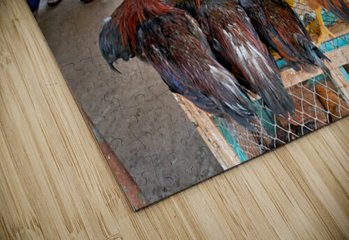 Chickens gathered in a market in Phu Quoc Vietnam Marco Brivio puzzle