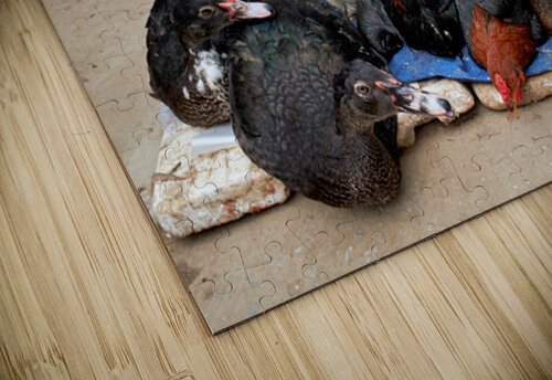 Market scene with live ducks and chickens in Phu Quoc Marco Brivio puzzle
