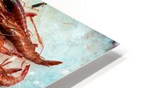 Fresh seafood display at Mercat de Sant Josep in Barcelona HD Metal print
