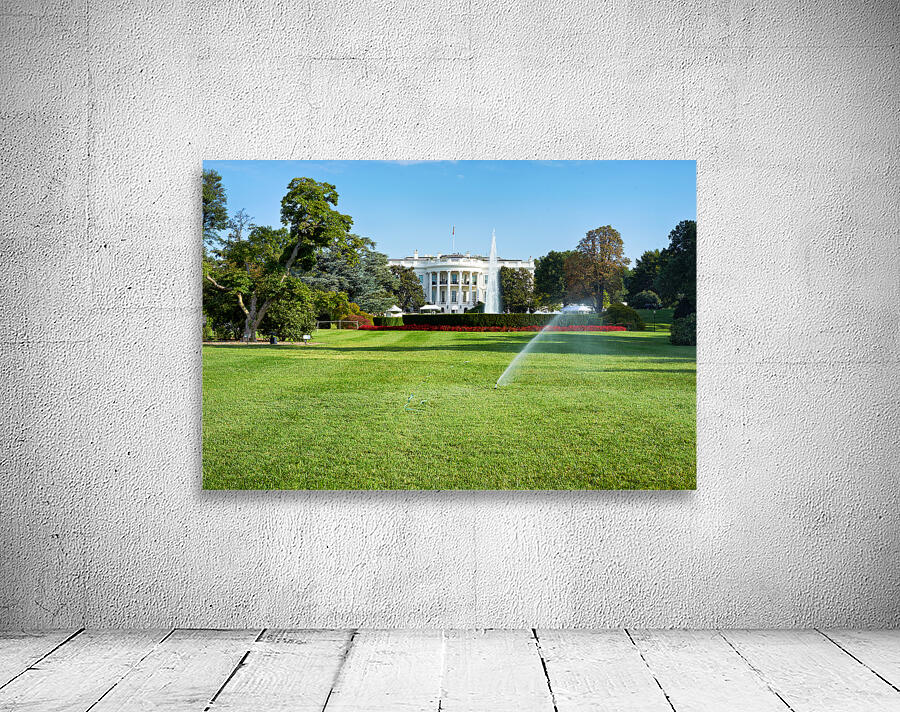 The White House. Washington D.C. Wall Preview