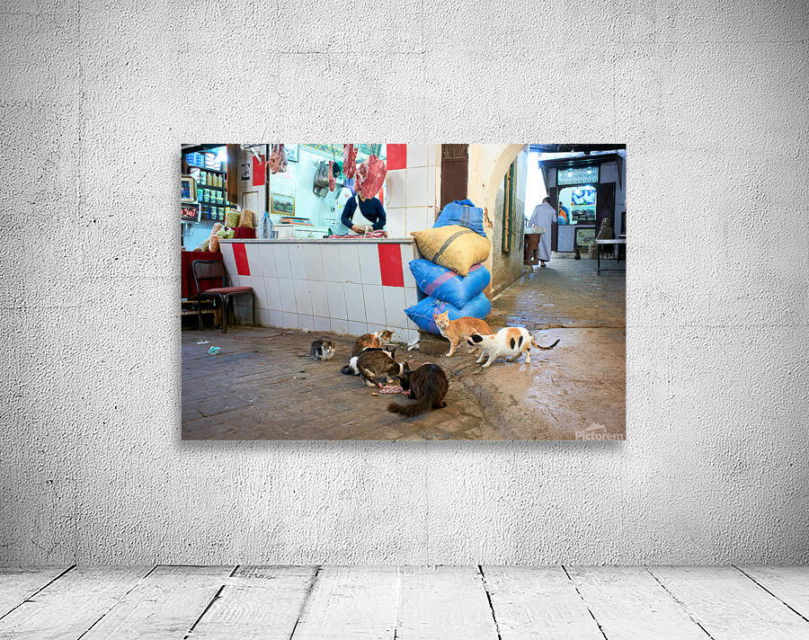 Stray cats gather near meat shop in Fez souk during daytime Wall Preview