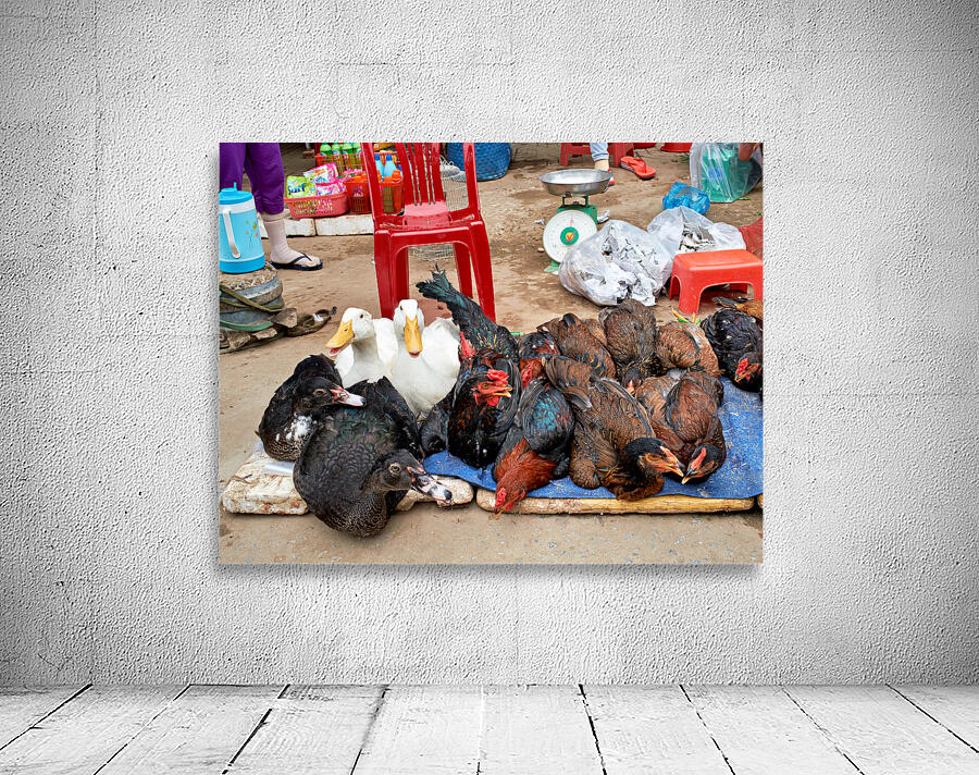 Market scene with live ducks and chickens in Phu Quoc Wall Preview