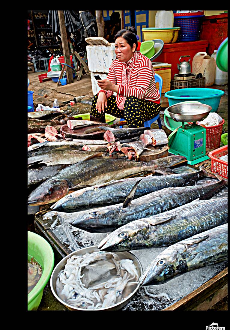 Fish market scene in Phu Quoc Vietnam during the day Reproduction