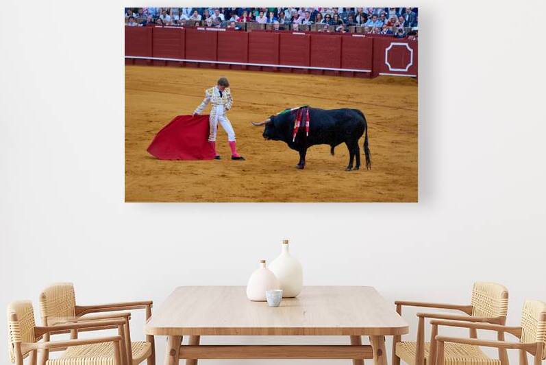 ANDALUSIA SPAIN. Bullfight in Seville Arena by Marco Brivio