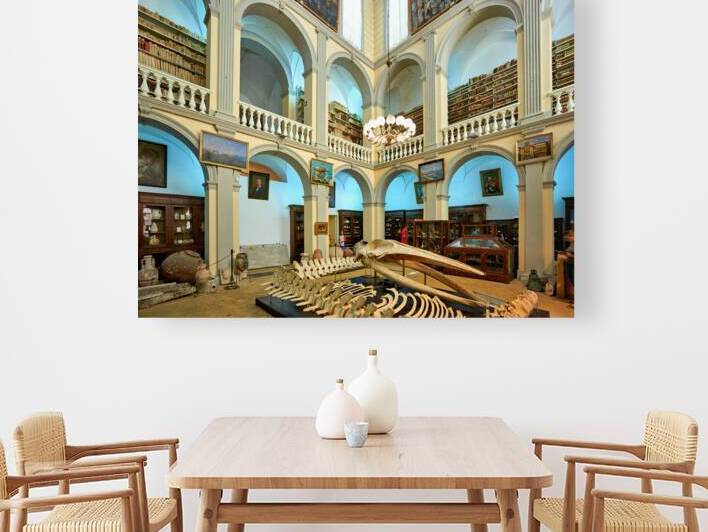 Salento. Apulia Puglia Italy. Gallipoli. Civic Museum Emanuele Barba by Marco Brivio